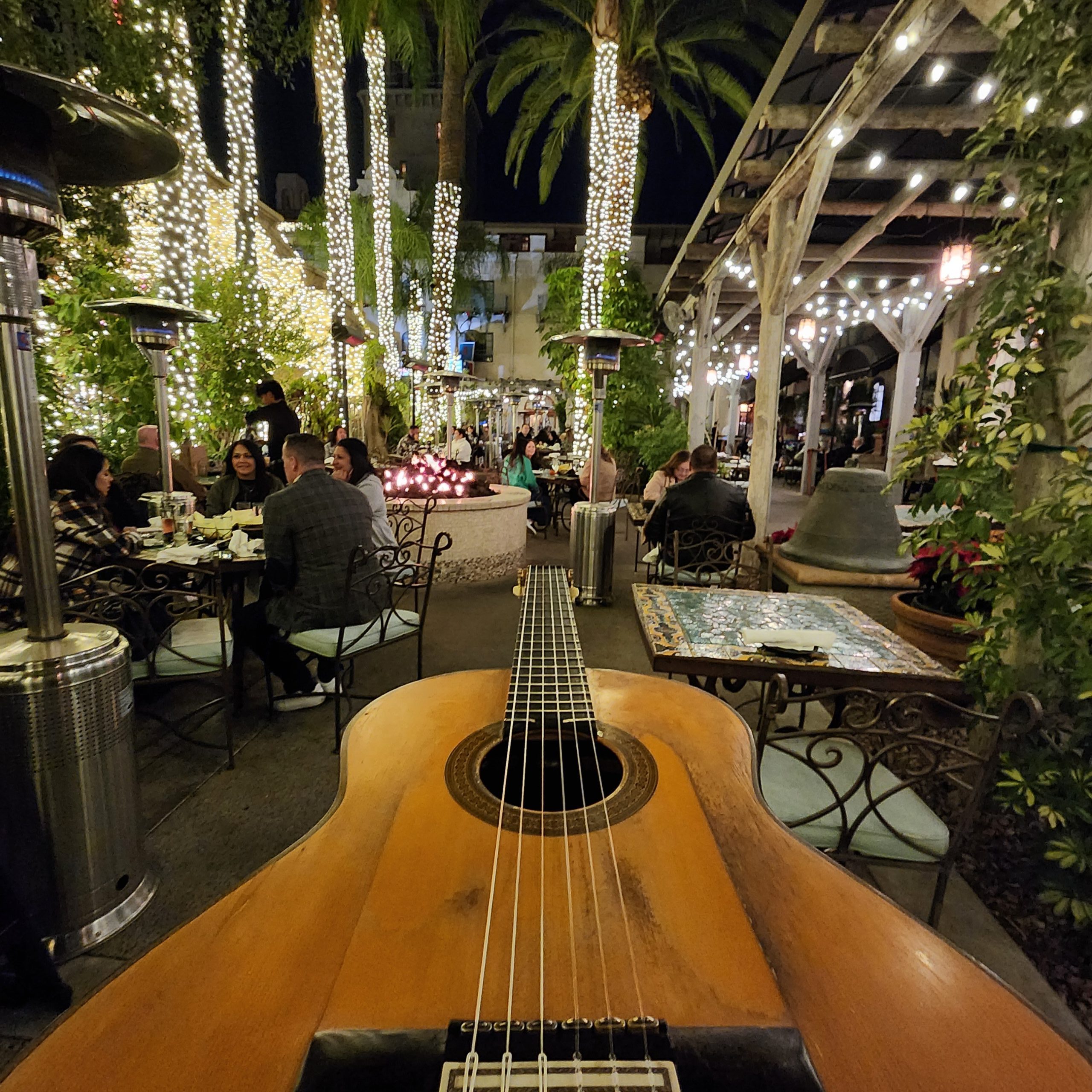Classical guitarist performing at a corporate reception in Irvine, Orange County