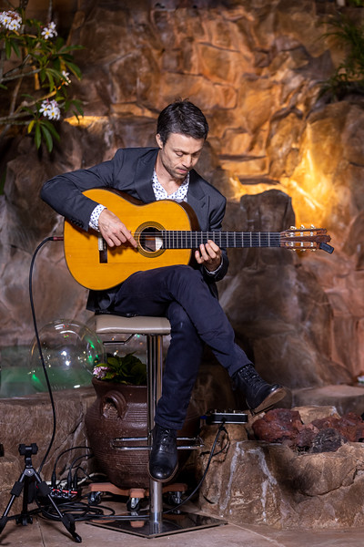 San Bernardino County live guitarist — guitar detail