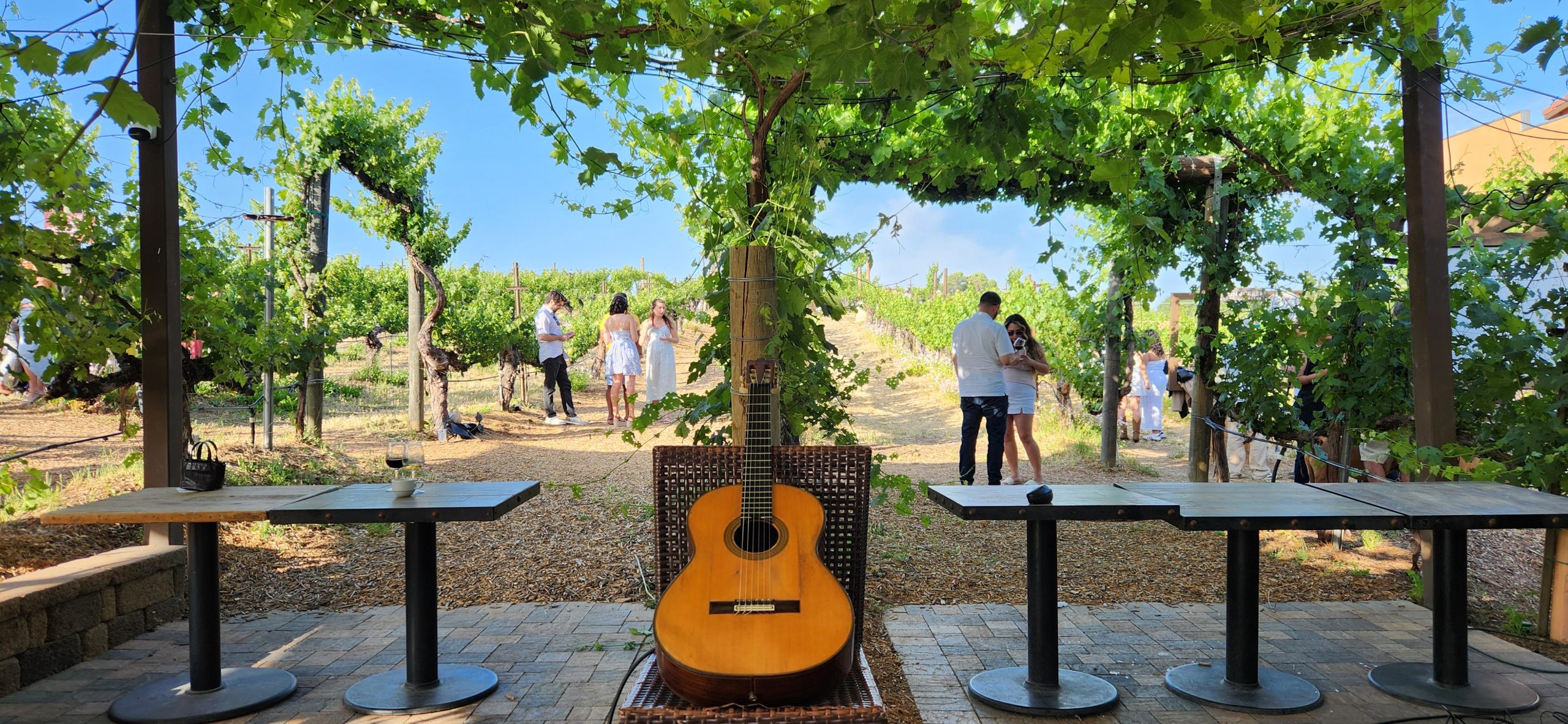 Wedding musician performing live guitar at a Temecula winery